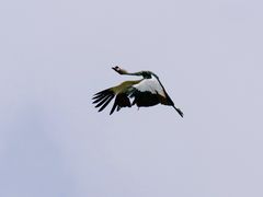 -哈尔滨北方森林动物园