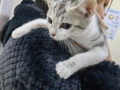 -子乐宠物医院