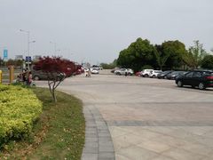 -昆山城市生态森林公园