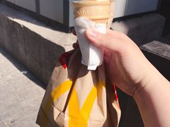 -麦当劳(农光里店)