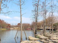 -上海长兴岛郊野公园