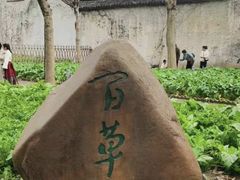 -绍兴鲁迅故里·沈园景区