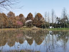 -凤凰沟景区