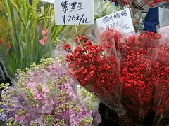 -循礼门鲜花花市(武汉循礼门店)