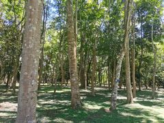 -中国科学院西双版纳热带植物园