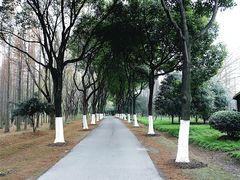 -昆山城市生态森林公园