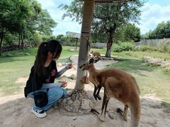 -泉州海丝野生动物世界