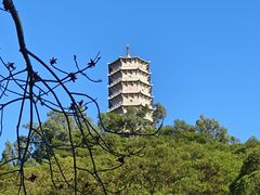 -深圳国际园林花卉博览园