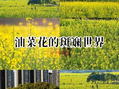 -光明小镇欢乐田园