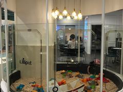 -Lilliput·粒粒堡亲子餐厅(嘉定宝龙店)