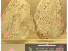 -上海邮政博物馆