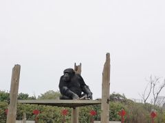 -南昌动物园