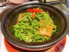 美极鲜豆角-106餐厅(山水文园店)
