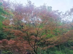 -岳麓山风景名胜区