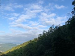 -广州市帽峰山景区