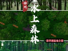 -渌洋湖湿地公园