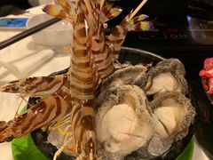 -鲜入围煮花胶鸡海鲜火锅