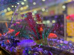 -新辉港式茶餐厅(北栅店)