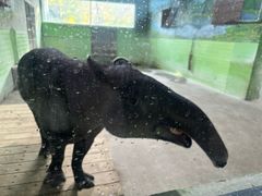 -石家庄市动物园