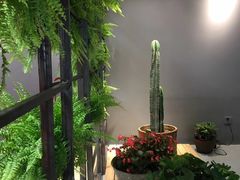 -草场地艺术区