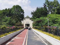 -大渡口区义渡公园