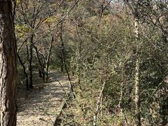 -白马涧龙池景区