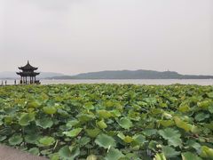 -西湖游船