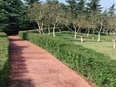 -洨河生态公园