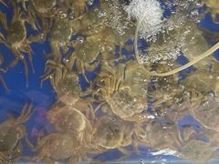 -阳澄湖大闸蟹·琼灵阁牌品牌连锁(吴中总店)