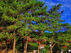 -明月山风景名胜区