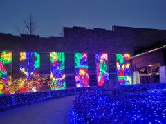 -南宫五洲植物乐园