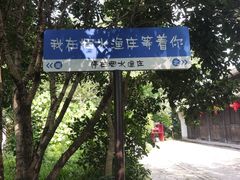 -西溪国家湿地公园