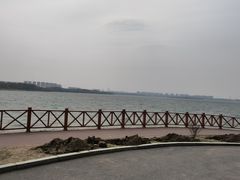 -丁香湖公园