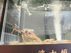 -阿五黄河大鲤鱼(英协路店)