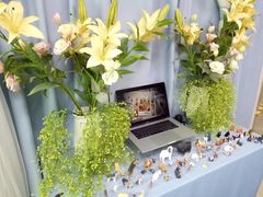 -彩虹桥宠物火化殡葬善终服务(金乐大厦店)