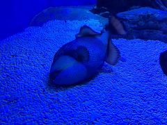 -成都浩海立方海洋公园