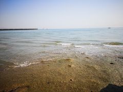 -日照灯塔风景区