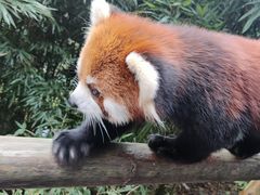 -宫廷糕点铺(建设路店)