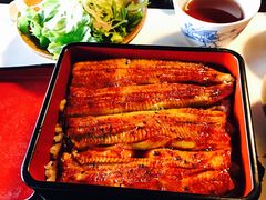 -料亭菊水楼
