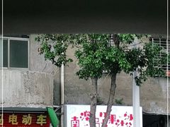 -南澳岛打卡果汁冰公司