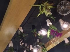 -柴务处·柴犬主题狗咖