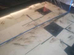 -小象钓虾·营地烧烤(洛溪店)