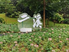 -云溪植物园