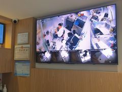 -鼎级派宠物(中南店)
