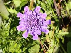 -白草畔自然风景区