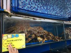 -蚝专家(北滘店)