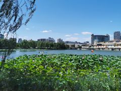 -WhaleSports户外水上运动俱乐部(朝阳公园店)
