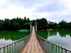 -东湖落雁景区