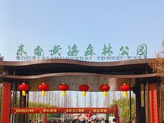 -黄海国家森林公园