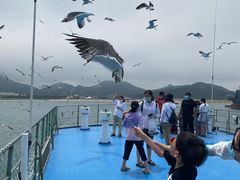 -海驴岛(荣成市)